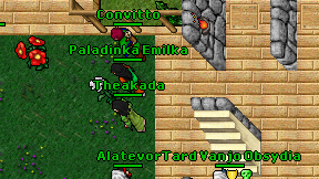 Convitto on screen