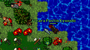 Fleara Fastin Kyonshi on screen