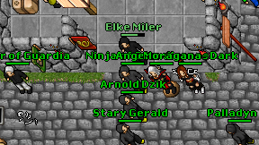 Ninja of Guardia on screen