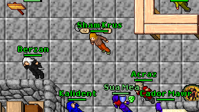 Sham Krus on screen