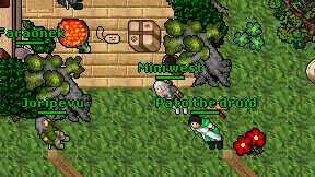Mini west on screen