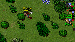 Bapsi on screen