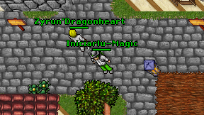 Iniciarlu-Magic on screen