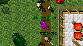 Executiona on screen