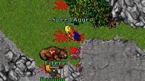 Speed Aggro on screen