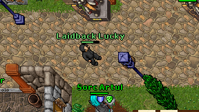 Laidback Lucky on screen