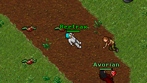 Beetrax on screen