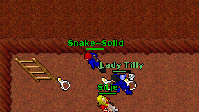 Snake-Solid on screen