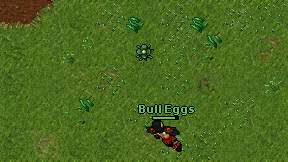 Bull Eggs on screen