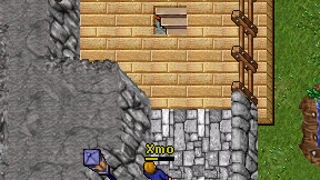 Xmo on screen