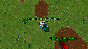 Maximus Davidus on screen