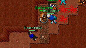 Rajciger on screen