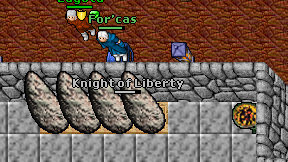 Knight of Liberty on screen