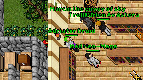 Adriator Druid on screen
