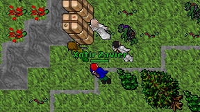 Xotir Zavier on screen