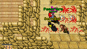 Servisol on screen