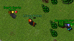 Lixus Polen on screen