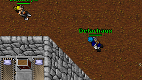 Delachaux on screen