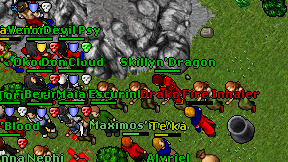 Skillyn'Dragon on screen