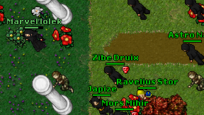 Zibe Druix on screen