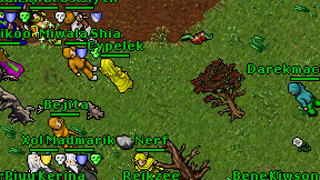 Darekmaciaszek on screen