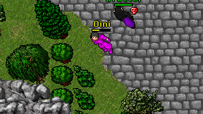 Oini on screen
