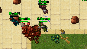 Sibrex on screen