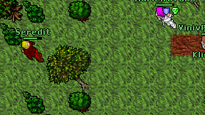 Seredit on screen