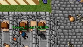 Lesiulm on screen