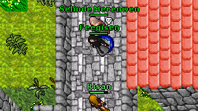 Feegisen on screen