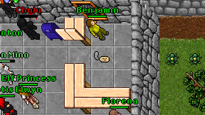Florena on screen