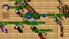 Elite Sham on screen
