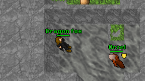 Dragon fox on screen