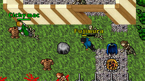 Fujimura on screen