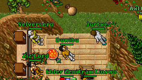Duwibu on screen
