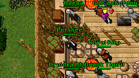 Porshee on screen