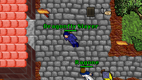 Dragonfly Slayer on screen