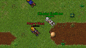 Mary Haz on screen