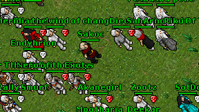 Sakoc on screen