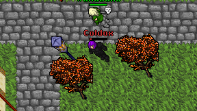 Coldox on screen