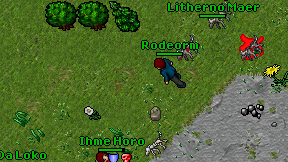 Rodeorm on screen