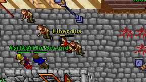 Liberdus on screen