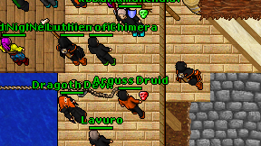 Arguss Druid on screen