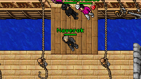 Naverok on screen