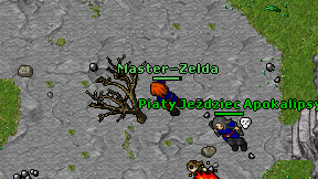 Master-Zelda on screen
