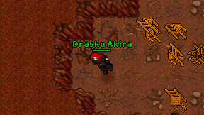 Drasko Akira on screen