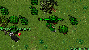 Doomandisia on screen