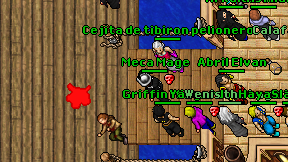 Meca Mage on screen