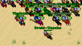 Druid-Wuacha on screen
