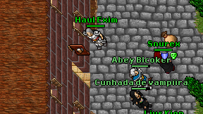 Haul Exim on screen